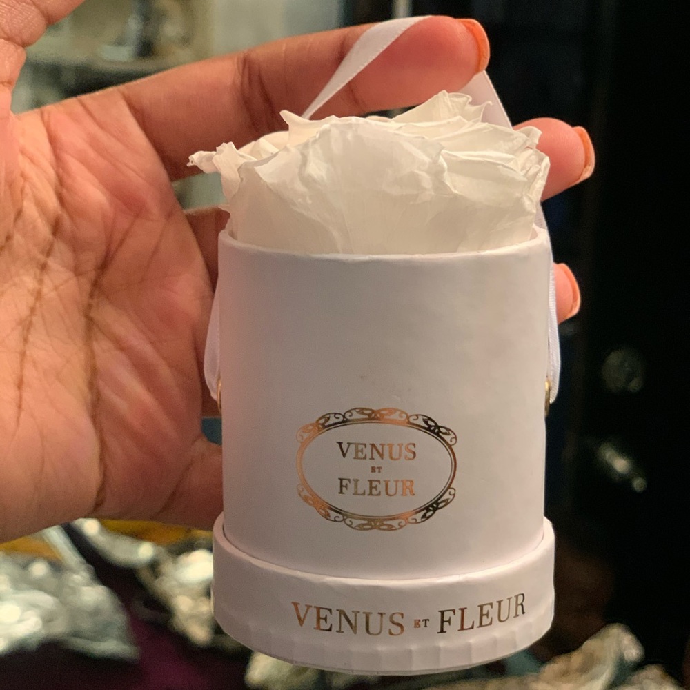 Venus Et Fleur Mini White Classic Rose